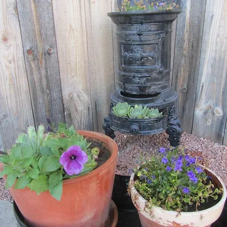 & Atelier Les Murs De Couleurs *